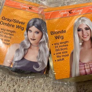 Gray/silver and blonde wig